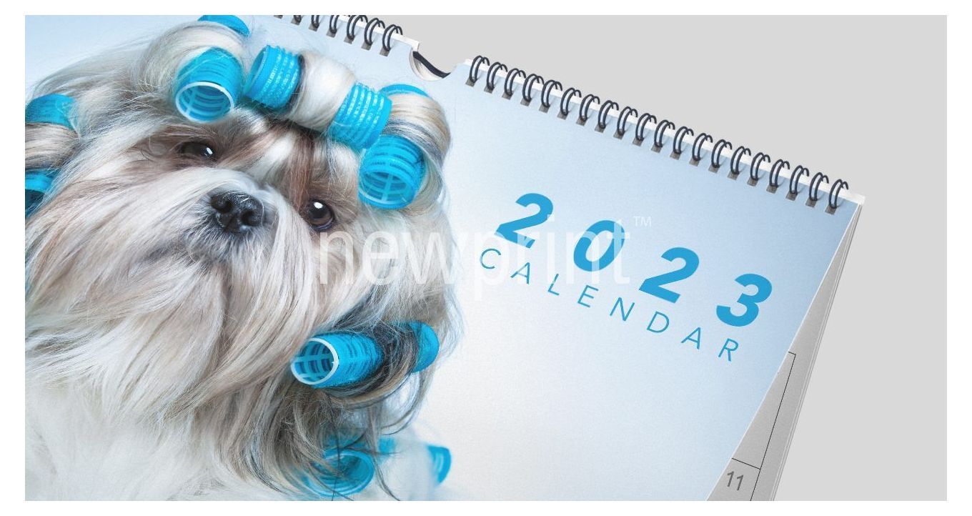 Wall calendar made using 2023 calendar template with dog on the cover