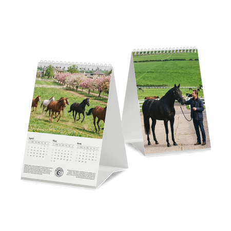 3-month desk calendar with wire-o binding showing printing on multiple sides