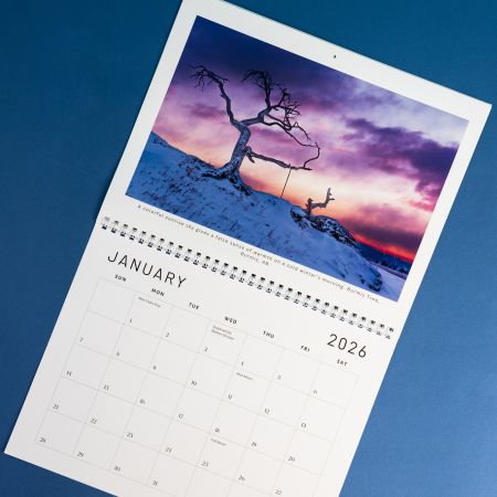 Wall calendar for year 2026