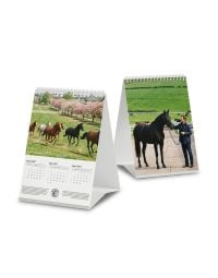 3-month desk calendar with wire-o binding showing printing on multiple sides