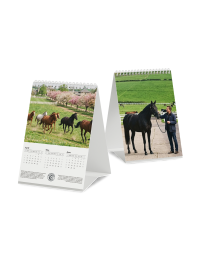 3-month desk calendar with wire-o binding showing printing on multiple sides