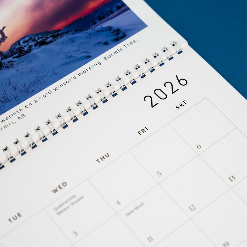 A close-up view of a wall calendar.