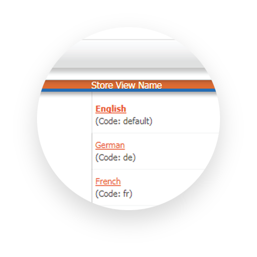 Multi-language store views
